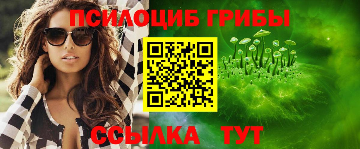 Галлюциногенные грибы прущие грибы Чебоксары